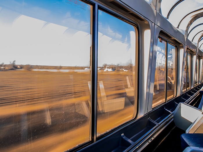 la fille du train