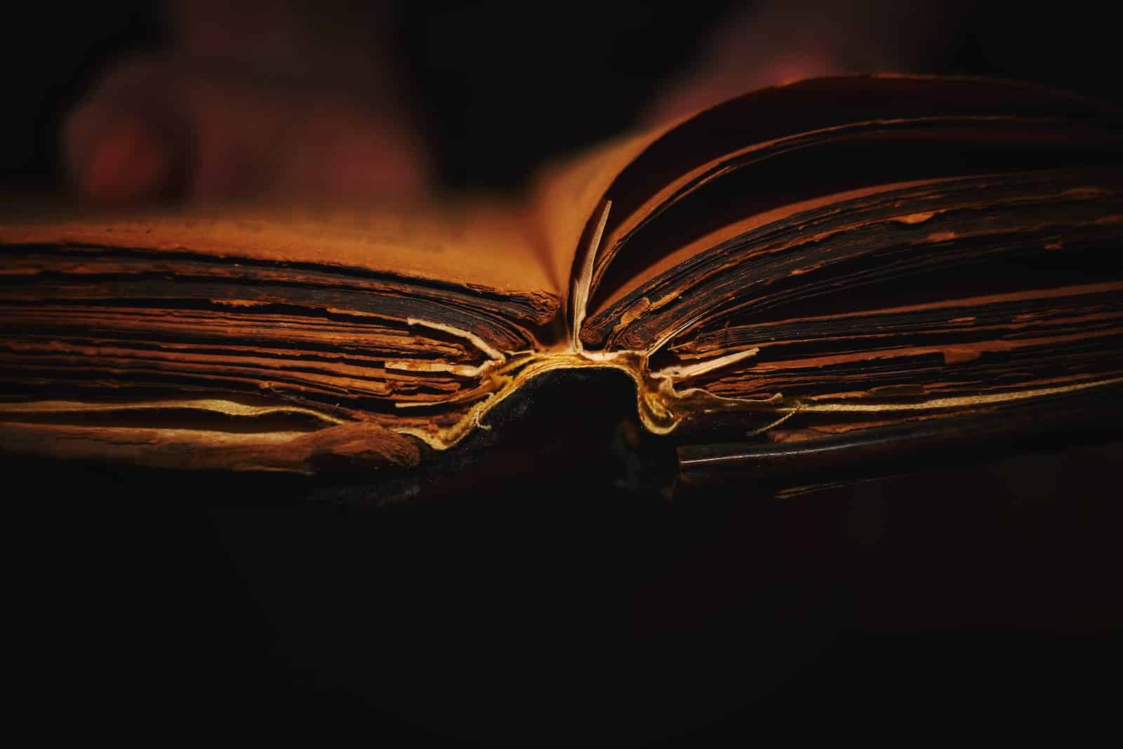 que faire des vieux livres