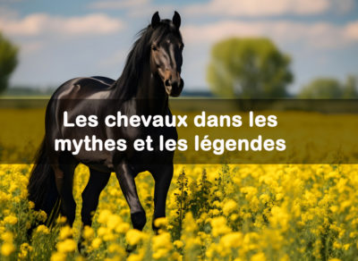 chevaux dans les mythes et legendes
