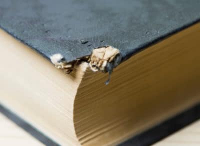 réparer un livre couverture